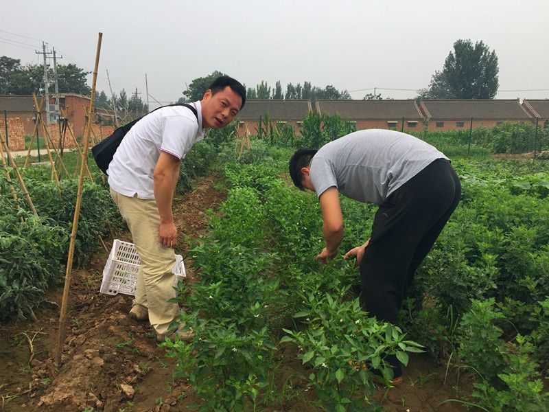 好利來(lái)郭總喊您來(lái)摘菜啦！綠色無(wú)公害，放心！